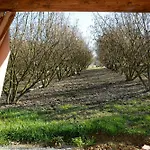דירה Ca D'rita Monferrato - Viognier Con Sauna Interna E Idromassaggio E Piscina Esterni