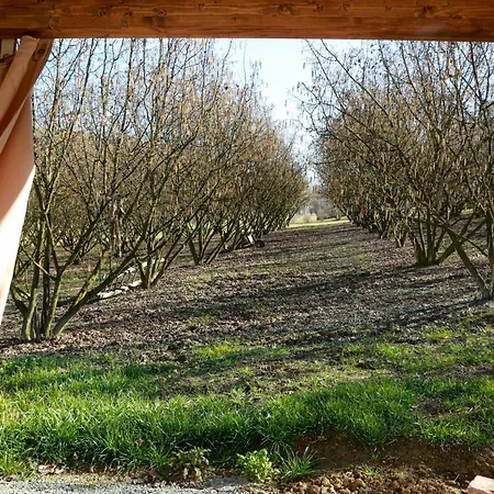 アパート Ca D'rita Monferrato - Viognier Con Sauna Interna E Idromassaggio E Piscina Esterni