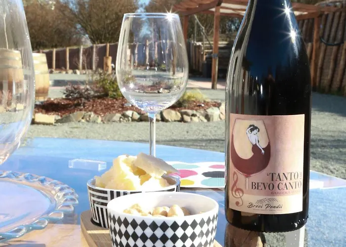 Apartamento Ca D'rita Monferrato - Viognier Con Sauna Interna E Idromassaggio E Piscina Esterni *
