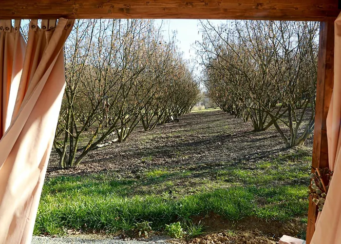 Apartamento Ca D'rita Monferrato - Viognier Con Sauna Interna E Idromassaggio E Piscina Esterni
